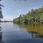 Dare Park Point