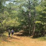 Star Point Reserve