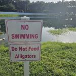 Southern Aire RV Resort