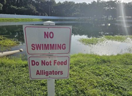 Southern Aire RV Resort