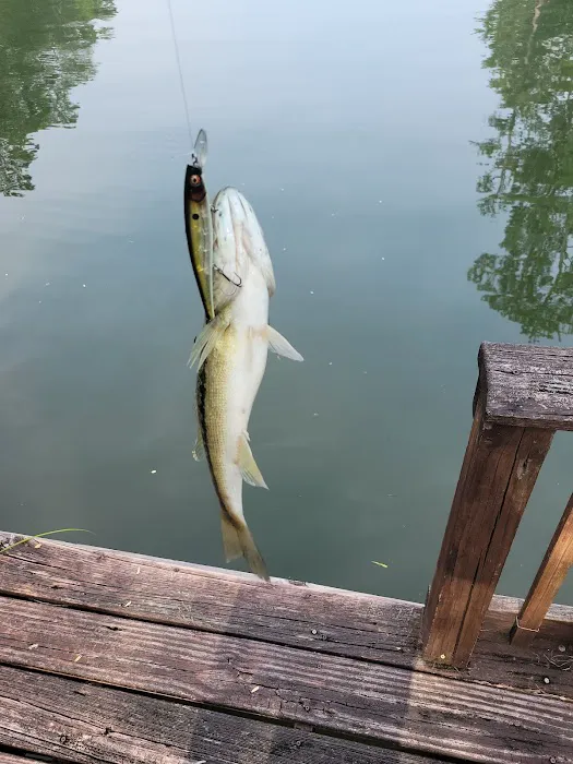 Maxwell-Gunter AFB Lake Martin Recreation Area Picture 9