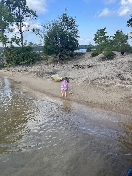 Cheeseburger Island Picture 1
