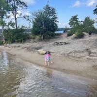 Cheeseburger Island ico