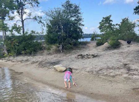 Cheeseburger Island