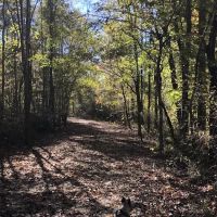 Spring Villa Campground ico