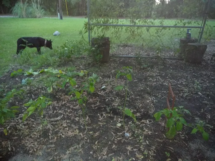 Windmill Acres Picture 4