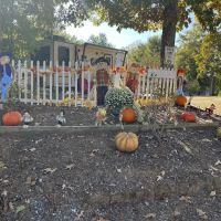 Yellowleaf Campground, RV, Apartments ico