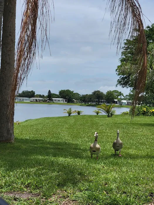 Heron Cay Picture 5