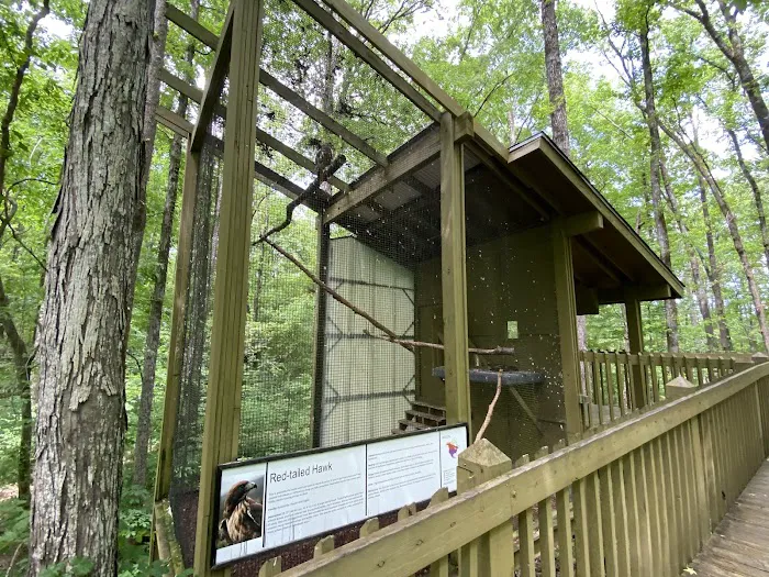 Oak Mountain State Park Campground Picture 2