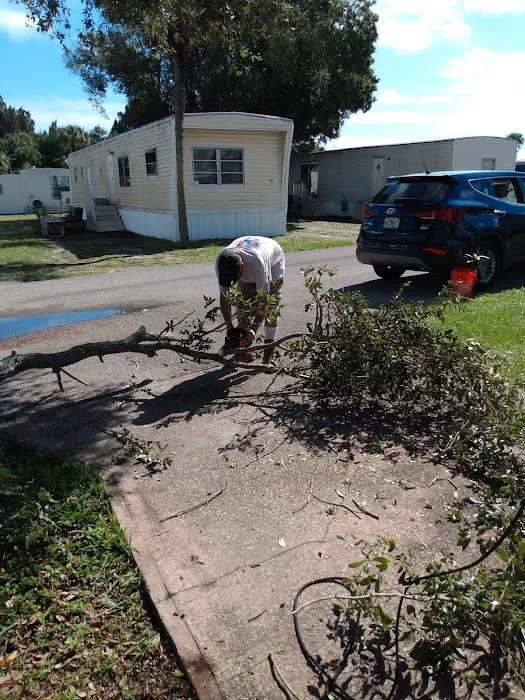 Su Rene Mobile Home Park Picture 1