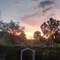 Woodlawn Manor ico