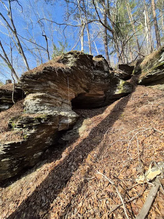 Burchfield Branch Park Picture 9