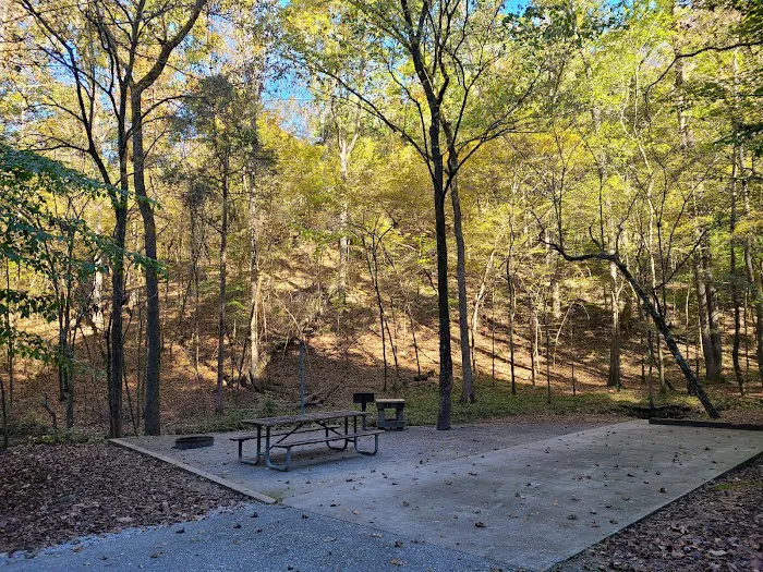 Burchfield Branch Park Picture 10
