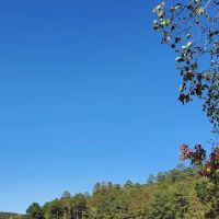 Burchfield Branch Park ico