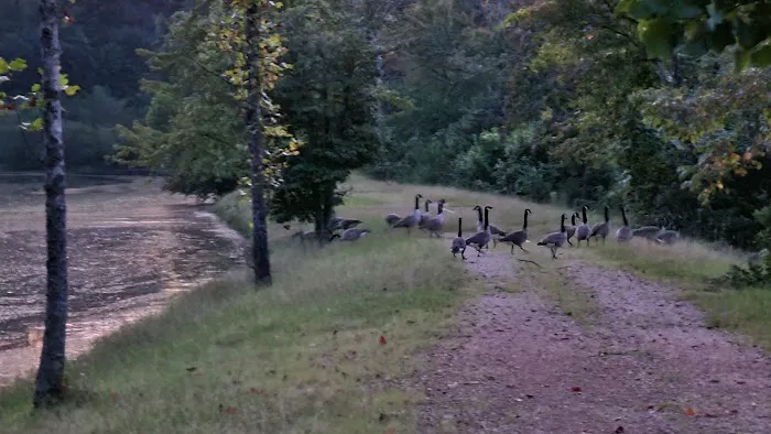 Cherokee Campground & RV Park Picture 3