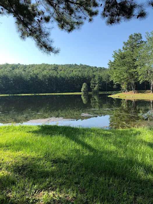 Cherokee Campground & RV Park Picture 10