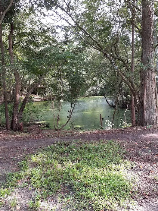 Suwannee Plantation Picture 9
