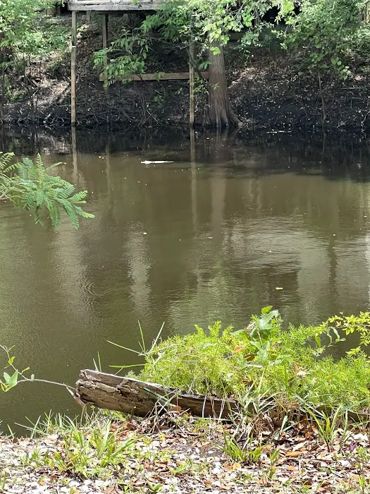Suwannee River Bend RV Park Picture 2