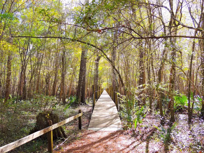 The Hideaway Campground Picture 9
