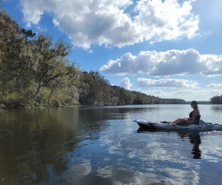 Manatee Springs State Park Campground