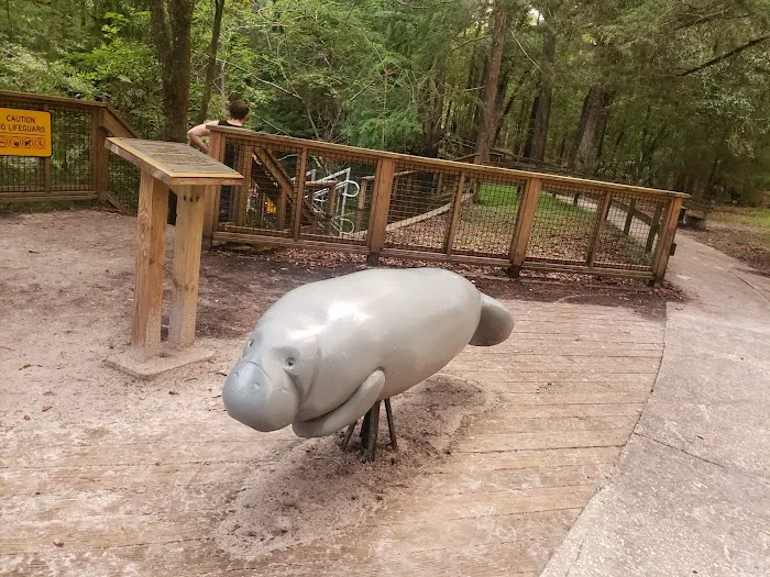 Manatee Springs State Park Campground Picture 10