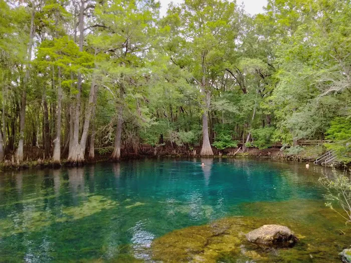 Manatee Springs State Park Campground Picture 2