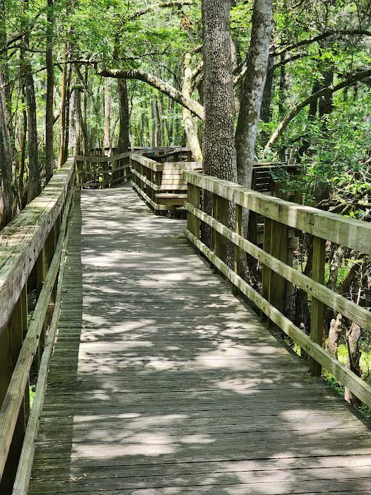 Manatee Springs State Park Campground Picture 3