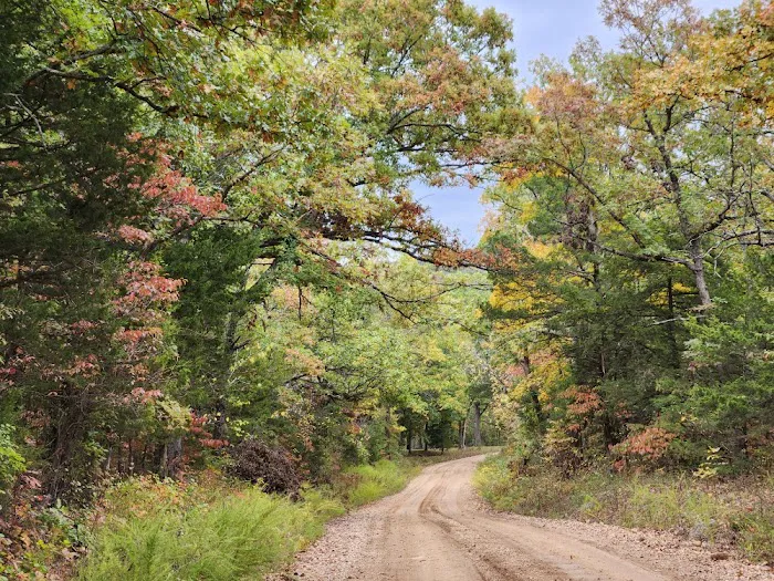 Belle River Retreat Picture 8