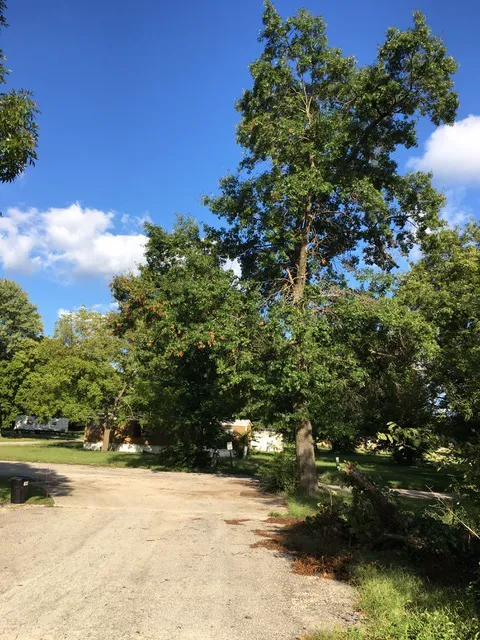 Four Seasons Village Mobile Home and RV Park Picture 8