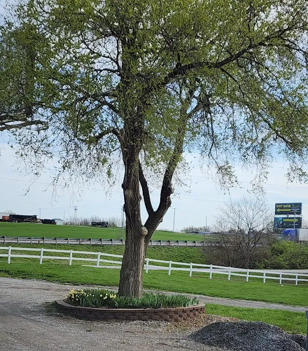 The Great Escape RV Park & Campground Picture 9