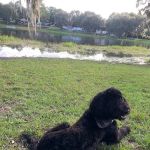 Lake Park RV & Campground