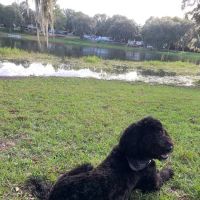Lake Park RV & Campground ico
