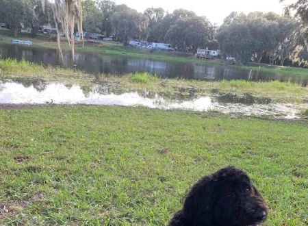Lake Park RV & Campground