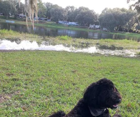 Lake Park RV & Campground
