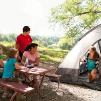 Wild Adventures Safari Campground ico