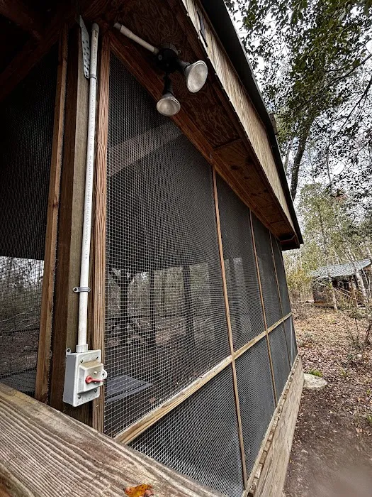 Peacock Slough River Camp Picture 9