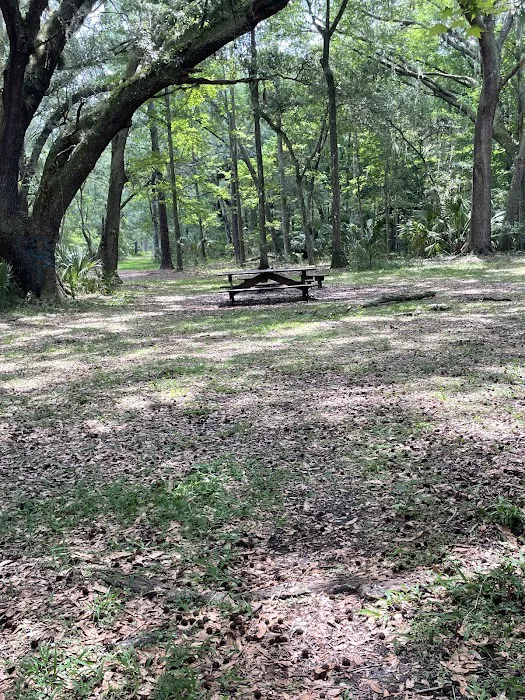 Ocklawaha Prairie Campgrounds Picture 1