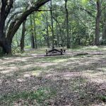 Ocklawaha Prairie Campgrounds