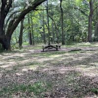 Ocklawaha Prairie Campgrounds ico