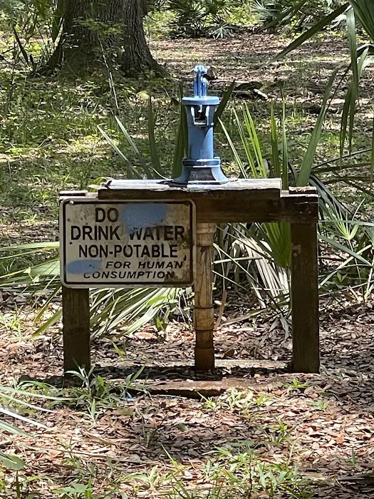 Ocklawaha Prairie Campgrounds Picture 2