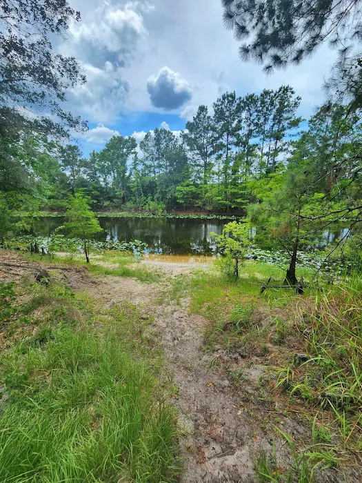Ocklawaha Prairie Campgrounds Picture 5