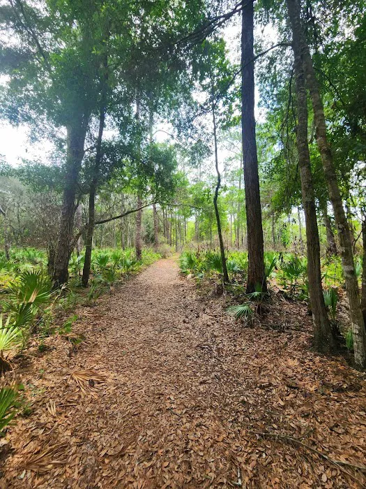 Ocklawaha Prairie Campgrounds Picture 7