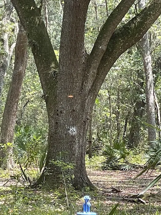Ocklawaha Prairie Campgrounds Picture 6