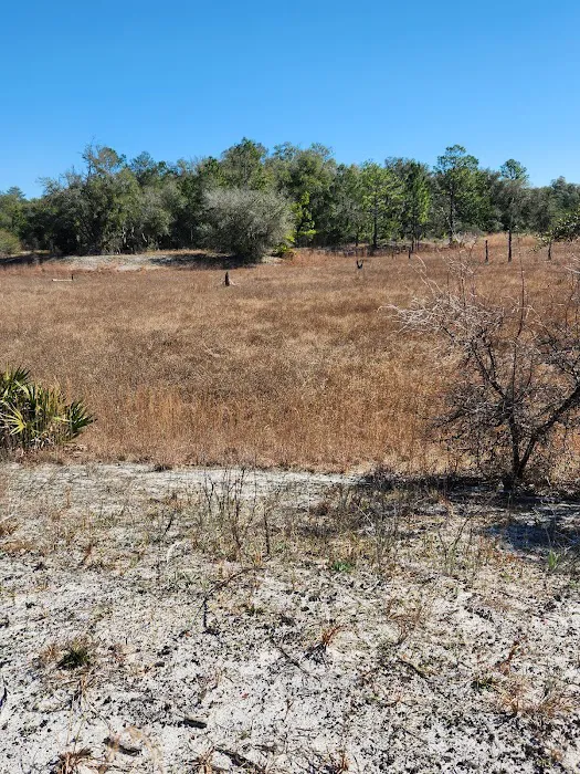 Ross Prairie Campground Picture 3