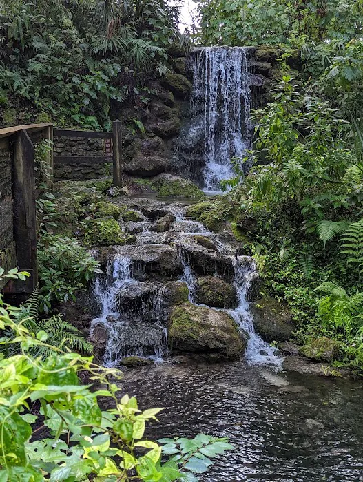 Rainbow Springs State Park Campground Picture 9