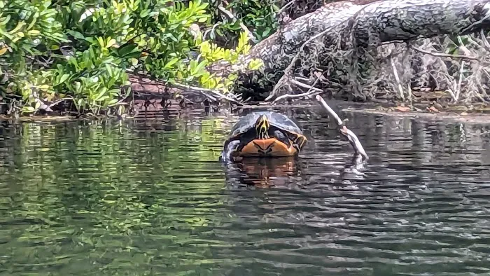 Rainbow Springs State Park Campground Picture 2