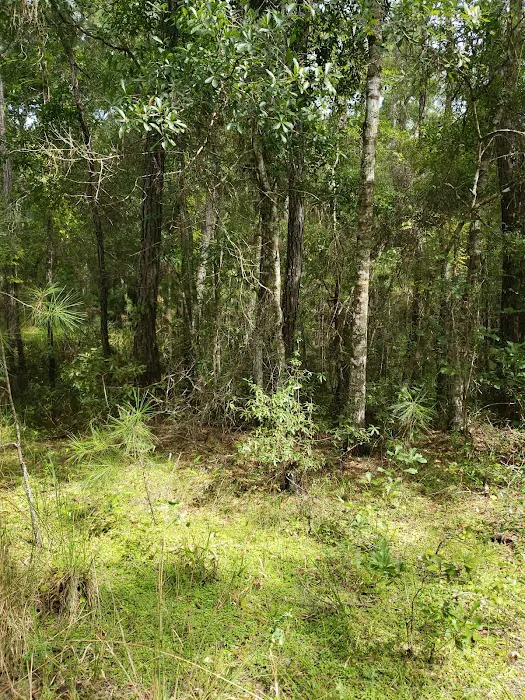 Two Mile Prairie Primitive Campsite Picture 3