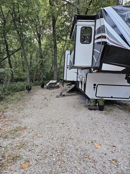 The Woods at Plaza Drive - RV Park Picture 6