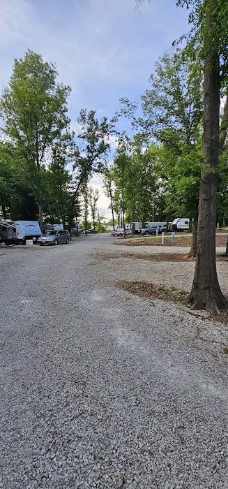 The Woods at Plaza Drive - RV Park Picture 4