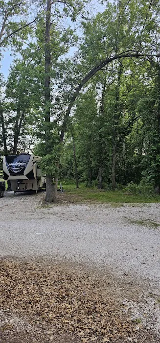 The Woods at Plaza Drive - RV Park Picture 5